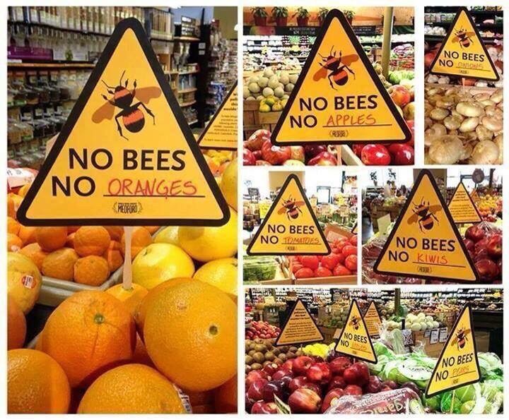 Montage photo montrant des étiquettes "sans abeilles pas de..."